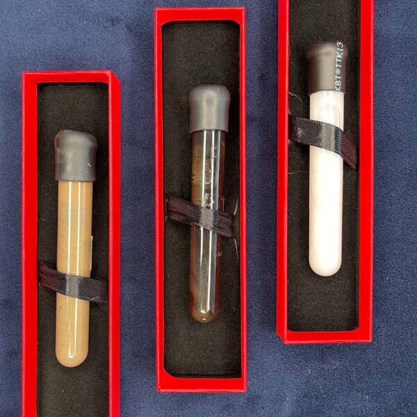 Metaplasma