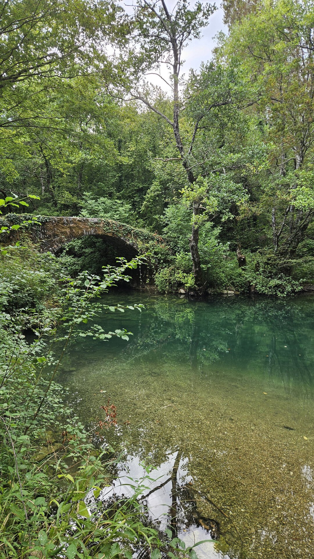 20250824_150401.jpg