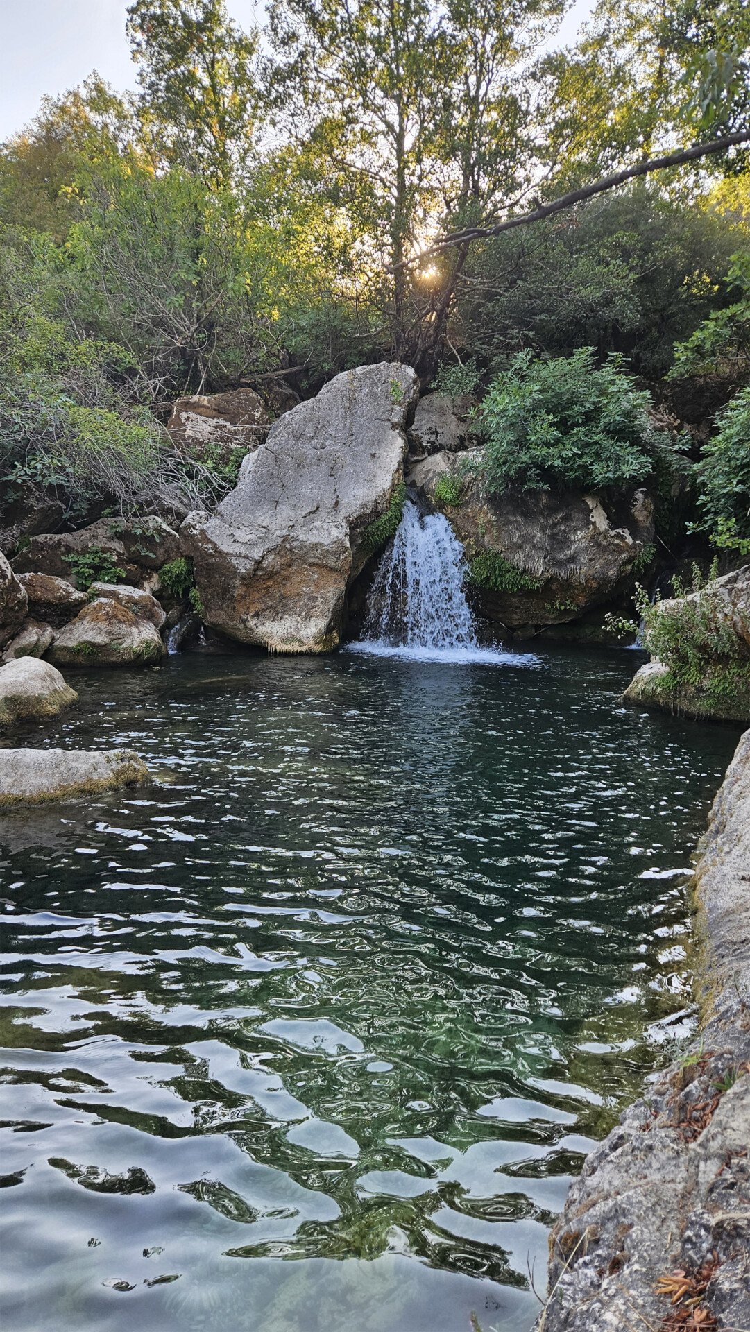 20250824_175711.jpg