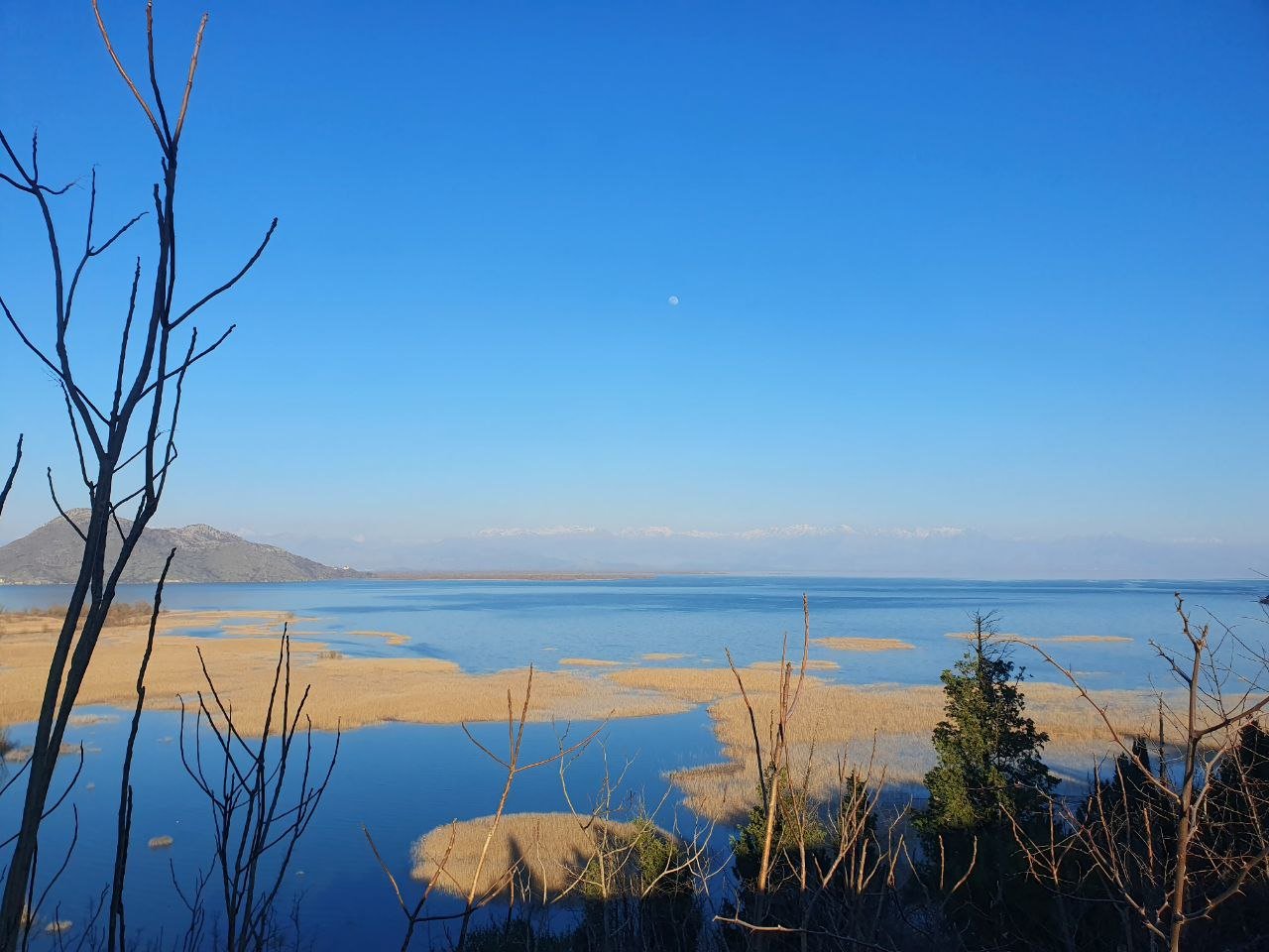 photo_2026-03-04_10-19-53