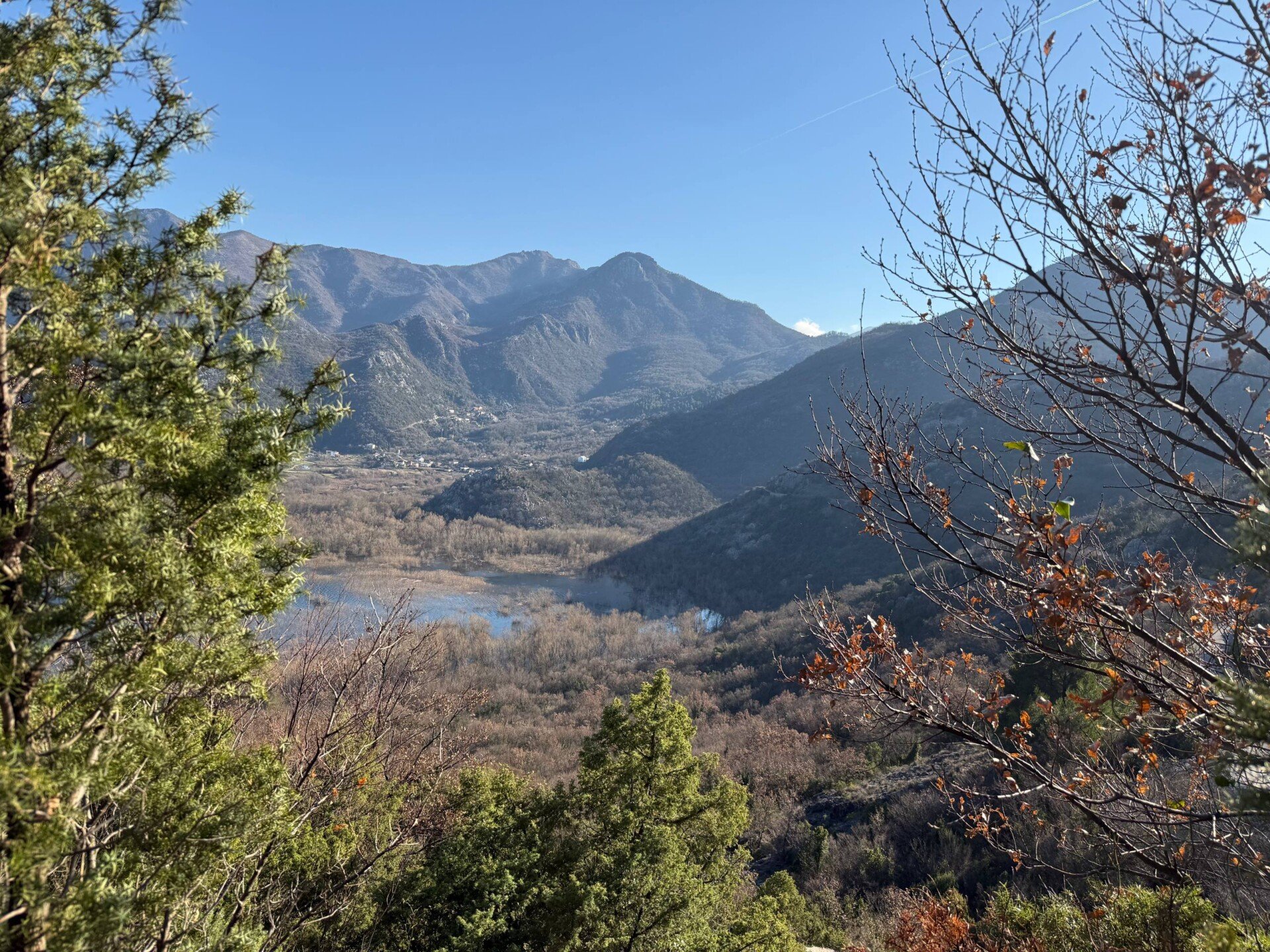 photo_3_2026-03-04_10-20-00
