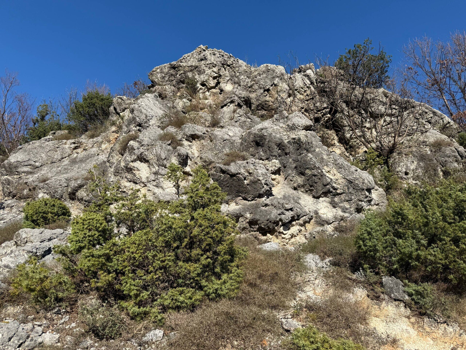 photo_4_2026-03-04_10-20-00