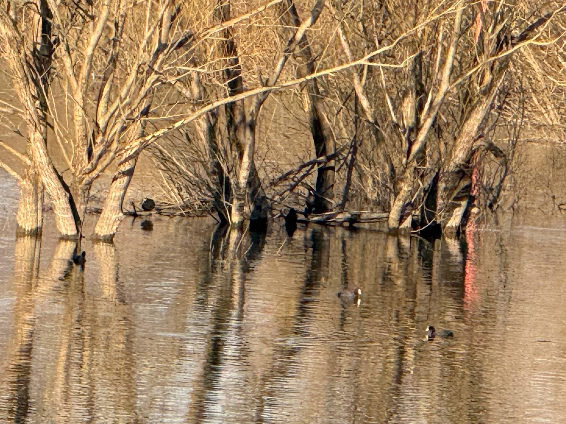 photo_6_2026-03-04_10-20-00