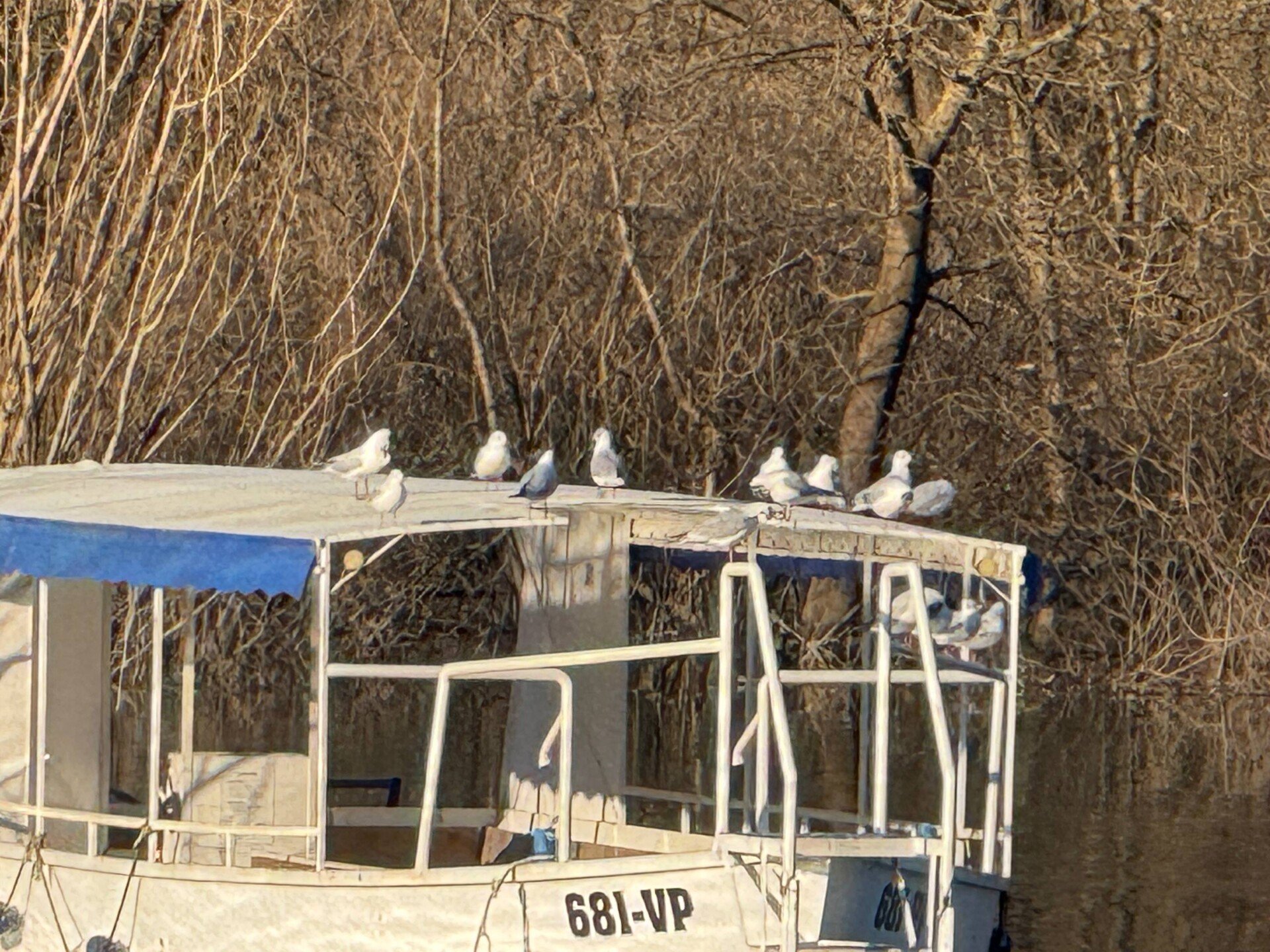 photo_7_2026-03-04_10-20-00