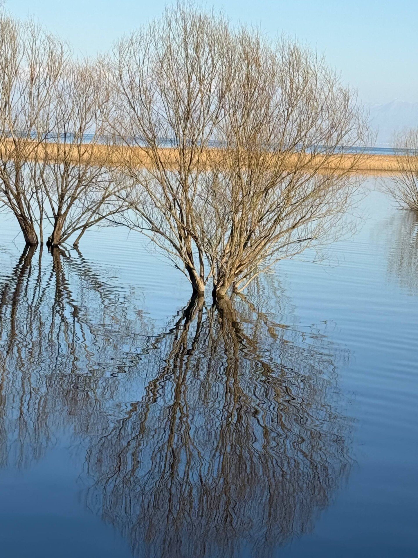 photo_8_2026-03-04_10-20-00