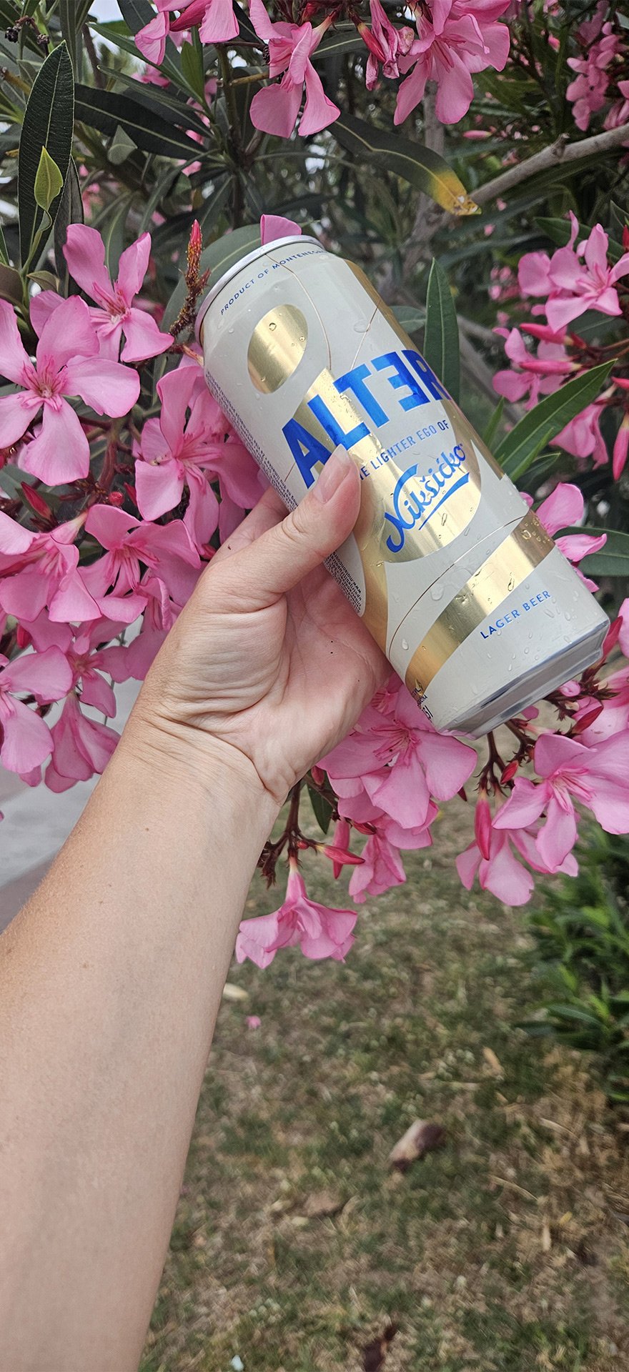 StarlightGroup, Alter beer, Nikšić Brewery, bar, montenegro